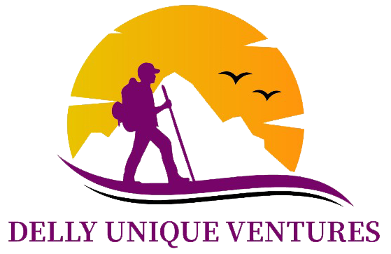 Delly Unique Ventures